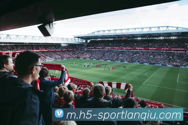 篮球赌注平台生态图